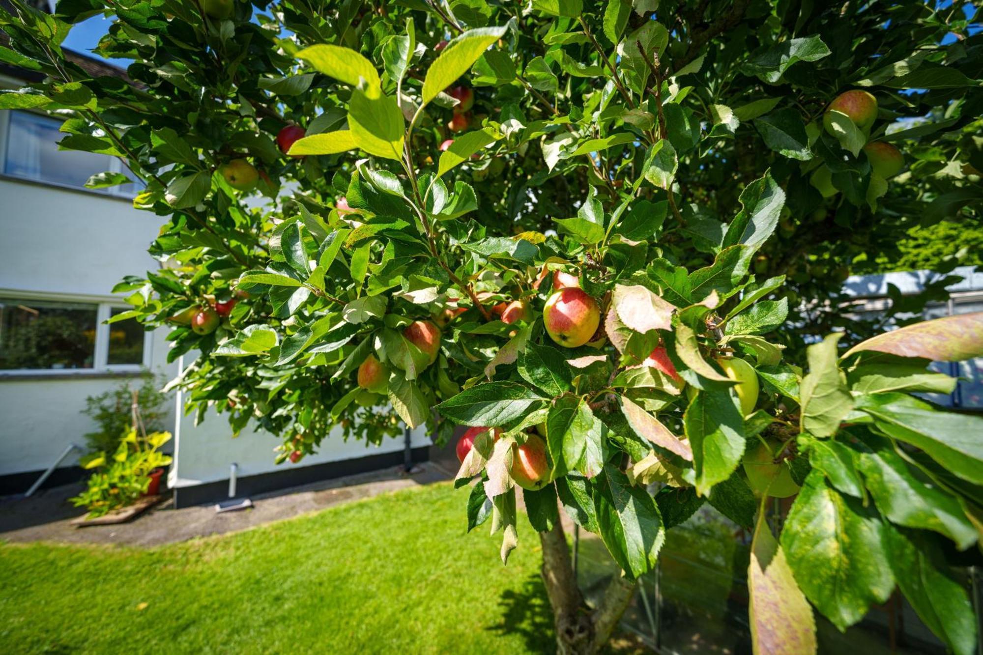 Apple Byrd - Short Stroll Into Kendal Town Centre Villa Екстериор снимка